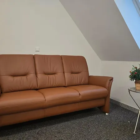Schneider *